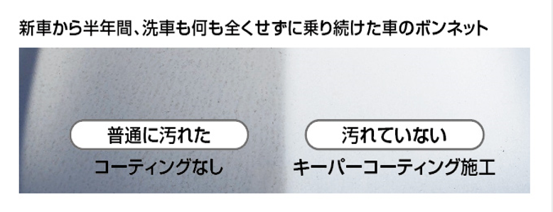 洗車をしなかったボンネットの様子