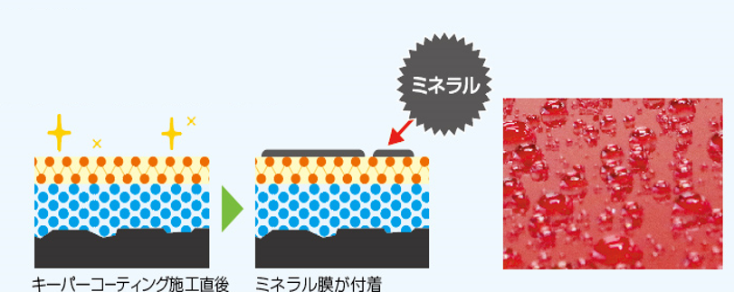 水ハジキを悪化させるミネラル膜