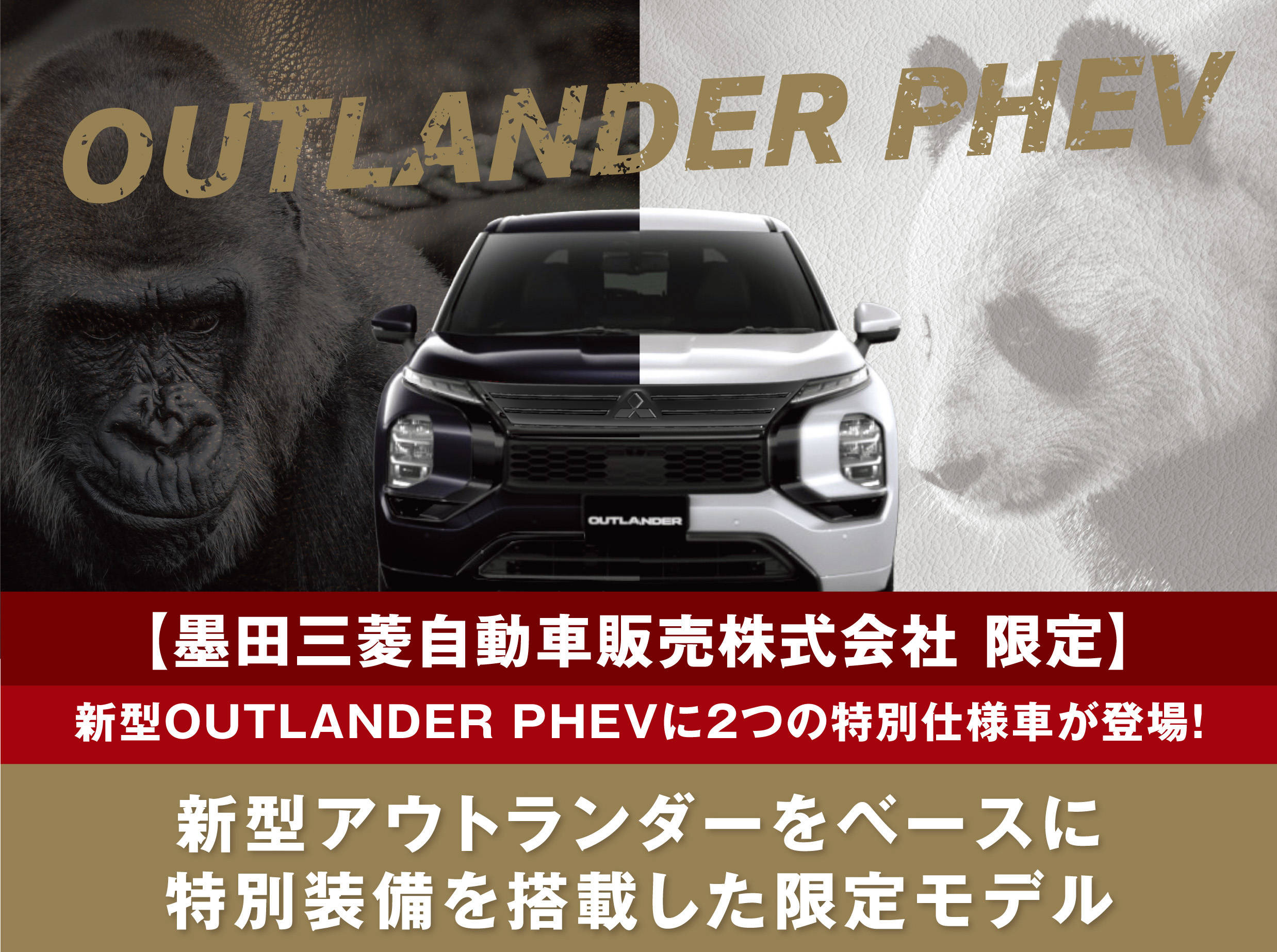 新型アウトランダーPHEVブラックモデル【ゴリラ＆パンダ】【墨田